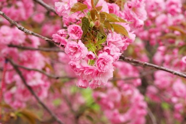 无锡新吴区线下个人借款平台一站式服务，轻松解决资金难题