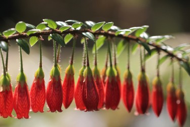 无锡新吴区零用贷短借：轻松解决临时资金需求