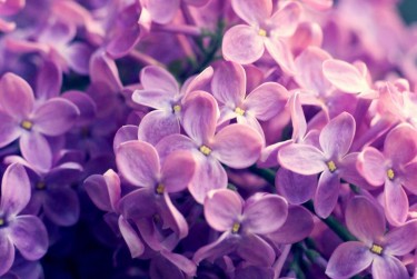 无锡新吴区企业急用钱贷款攻略：快速融资解燃眉之急